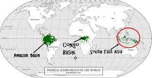 Tropical rainforests produce 40% of earth's oxygen. Tropical Rainforest Map Tropical Rainforest Tropical Rainforest