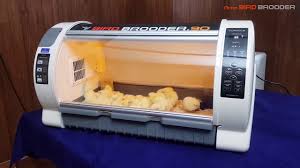 Our quality incubator and brooder selection features brooder heaters, incubator and brooder kits, and various. Rcom