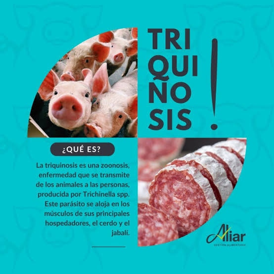 Triquinosis: qu&eacute; es, s&iacute;ntomas y prevenci&oacute;n &ndash; Portal de Inocuidad