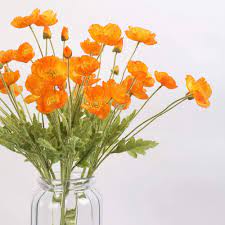 At spotlight we believe that being creative is not a hobby, it's a way of life. Buy Duoli Artificial Flowers Poppy Silk Flowers 5pcs Bouquet For Home Wedding Party Decoration Fake Flower Online In New Zealand B07q29b996