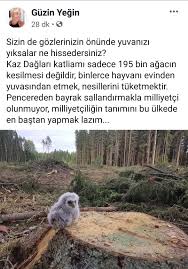 Pinar Aktas Adli Kullanicinin Yukum Sevgi Yolum Insan Panosundaki Pin Ilham Veren Alintilar Resimler Guzel Soz