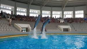 Marți, 31 decembrie, programul de vizite este până la ora 13.00. Tarife De PrimÄƒvarÄƒ La Delfinariu È™i Acvariu Constanta Ro