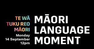 We did not find results for: Rnzcgp Rnzcgp Twitter