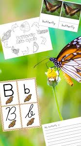 Download The Activity Mom Life Cycles Printable Free The Activity Mom