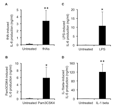 Hyaluronic Acid Fragments Enhance The Inflammatory And Catabolic Response In Human Intervertebral Disc Cells Through Modulation Of Toll Like Receptor 2 Signalling Pathways Arthritis Research Therapy Full Text