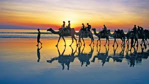 These 3 tours include accommodation and return direct flights via. Things To Do In Broome The Three Minute Guide