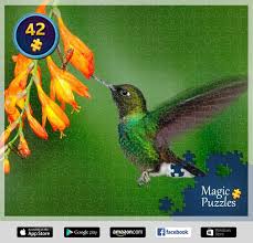 While artwork, piece size, and. I Ve Just Solved This Puzzle In The Magic Jigsaw Puzzles App For Ipad Try It Too Magic Jigsaw Puzzles Jigsaw Puzzle Games Jigsaw Puzzles
