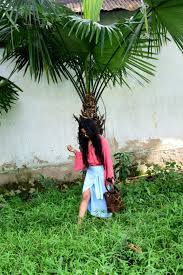 Kachari Ruins – Fashion,people&places