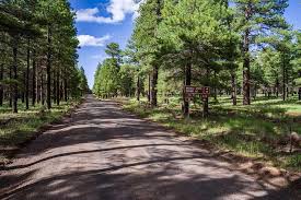 This epic camping area is located in the coconino national forest, flagstaff, az. The 12 Best Camping Spots Near Flagstaff Arizona