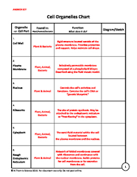 Cell Organelles Information Chart