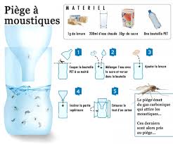 Comment Fabriquer Son Propre Piege A Moustiques Ideal Pour L Ete Piege A Moustiques Moustique Trucs Et Astuces
