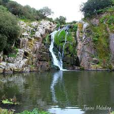 Attività ordinate in base ai dati di tripadvisor, tra cui recensioni, punteggi, foto e popolarità. Sardegna Le Cascate Di Triulintas A Martis Sardegna Luoghi Da Visitare Luoghi