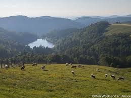 Cette route classique suit la principale crête des hautes vosges. La Route Des Cretes En Voiture Mon Week End En Alsace