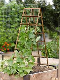 Building a grape arbor by tom zabadal and gaylord brunke. 24 Easy Diy Garden Trellis Ideas Plant Structures A Piece Of Rainbow