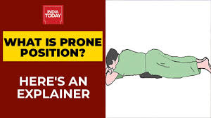 Pruning is a horticultural and silvicultural practice involving the selective removal of certain parts of a plant, such as branches, buds, or roots. What Is Proning Does It Help In Improving Oxygen Level Here S Prone Position Explainer Youtube