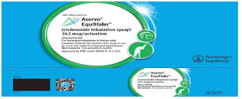 Image result for Inhaled Ciclesonide