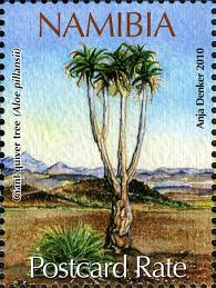 Sello Giant Quiver Tree Namibia Endangered Species Of Namibia Mi Na 1329 Sg Na 1137 Wad Na004 10 Namibia Quiver Species