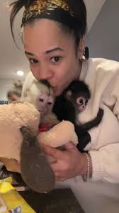 Baby Spider Monkey Pooping and Playing with Capuchin Monkey