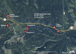 Beauvais lake is a hidden gem in the foothills with excellent opportunities for hiking, paddling, fishing, and birding. Library Alberta Parks