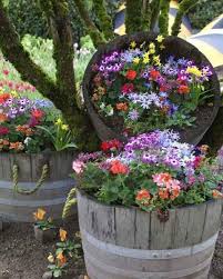 Flower Pots Valerie S Clipboard On Hometalk Garden Containers Outdoor Gardens Plants