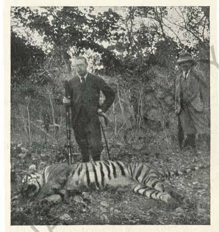 British Hunting and Wildlife in Bengaluru, India