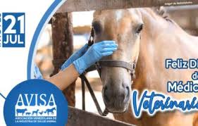 El comité de ganadero del tolima se une a las manifestaciones de agradecimiento a nuestros veterinarios.feliz día!!! Avisa Dia Del Medico Veterinario Archivos Avisa