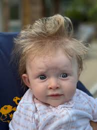 Looking for milk in the Austin area