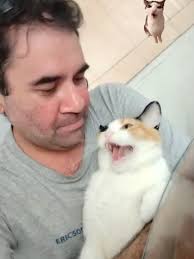 Videos de Jorge Plata (@jorgeplata1980) con “Oh No No No