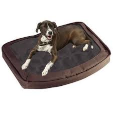 Kinda Like This One Dog Beds For Small Dogs Waterproof Dog Bed Extra Large Dog Bed