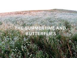 The Summertime And Butterflies All Belong To Your Creation All Belong To Your Creation Olivia One Direction Lyrics One Direction Lyrics One Direction Songs