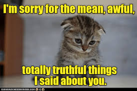 Apology Lolcats Lol Cat Memes Funny Cats Funny Cat Pictures With Words On Them Funny Pictures Lol Cat Memes Lol Cats