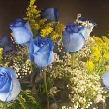 Order now & send flowers today Anthony S Flower Farm 37 Photos 10 Reviews Florists 3240 E Tremont Ave Bronx Ny Phone Number Products Yelp