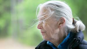 Scarlett Hendricks: Southern Dreams: Portrait of the Ideal — The Meadows  Museum at Centenary College