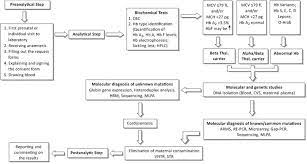Invasive And Noninvasive Approaches In Prenatal Diagnosis Of Thalassemias |  Intechopen