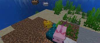 Clicking on it with a water bucket will yield a bucket of axolotl. Java Edition 20w51a Official Minecraft Wiki
