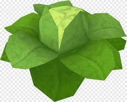 Growing trees and fruit trees are somewhat different to other plants, in that there is an runescape garden patches, or common tree patches. Old School Runescape Cabbage Game Fruit Tree Cabbage Game Leaf Vegetable Png Pngegg