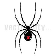 White chalk hand drawing in cobweb with spider shape on blackboard background. Black Widow Spider Venomous Poisonous Insect Vector Art File Etsy In 2021 Black Widow Spider Black Widow Spider Tattoo Widow Spider