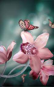 Flower Orquideas Hermosas Horquideas Pinterest Flores Mariposas Y Hermosa