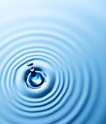 Risultati immagini per mindfulness