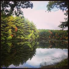 Fall Is Just Starting To Settle In At Rocky Woods Reservation In Medfield Ma Rocky Outdoor Photo