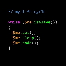 Pin By Amine Amrouz On Papeis De Parede In 2021 Programming Quote Coding Quotes Programmer Humor