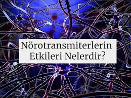 Norotransmiterlerin Etkileri Nelerdir Egitim Kimya Hayat