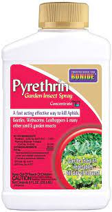 Amazon Com Bonide Bnd857 Pyrethrin Garden Insect Spray Mix Outdoor Insecticide Pesticide Concentrate 8 Oz Insect Repellents Garden Outdoor