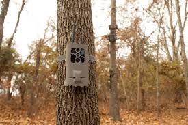 The trail camera has a cellular sim card that connects to a cellular network like verizon or at&t. All New Trail Cameras From Wildgame Innovations Insite Air And Insite Cell
