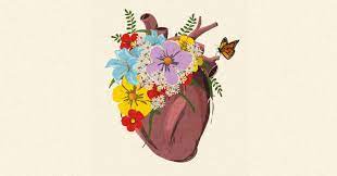 Brene Brown Strong Back Soft Front Wild Heart The On Being Project