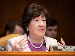 Amy Fried, Opinion columnist, Author at Bangor Daily News