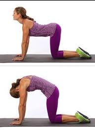 Cat camel exercise cat camel stretch cat and camel by chiropractor in toronto dr. Pin On Screenshots