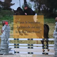 Epingle Sur Poney