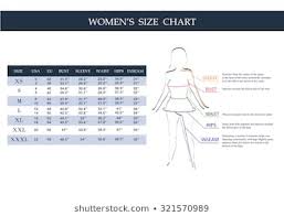 royalty free size chart stock images photos vectors