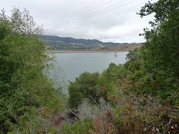 Nearby access to briones park and mt. Bear Creek Trail The Undiscovered Hikes Of Lamorinda